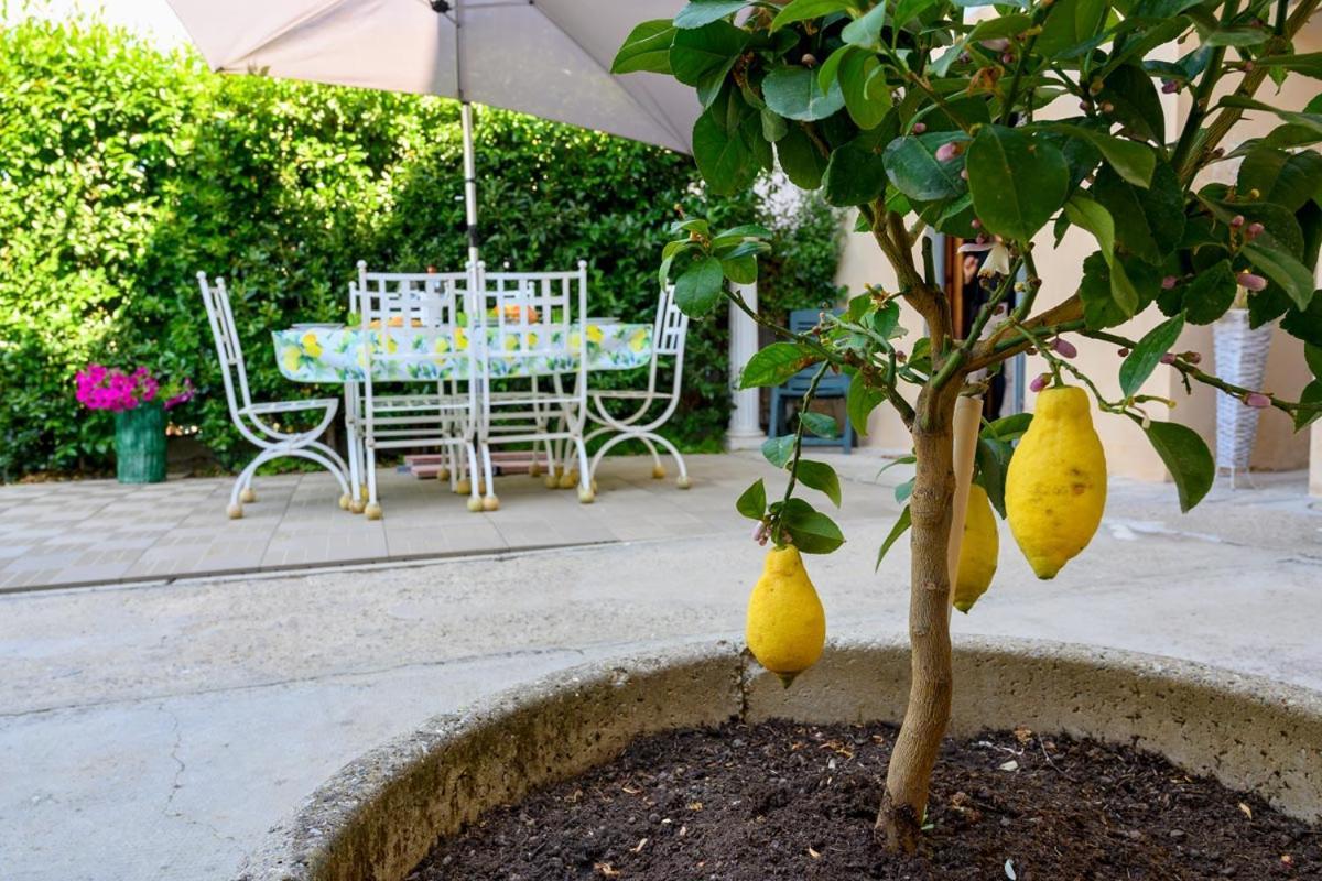 Borgo Nuovo Housing Hotel Fucecchio Exterior photo